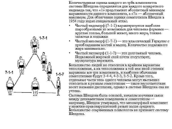 Конституциональные схемы шелдона