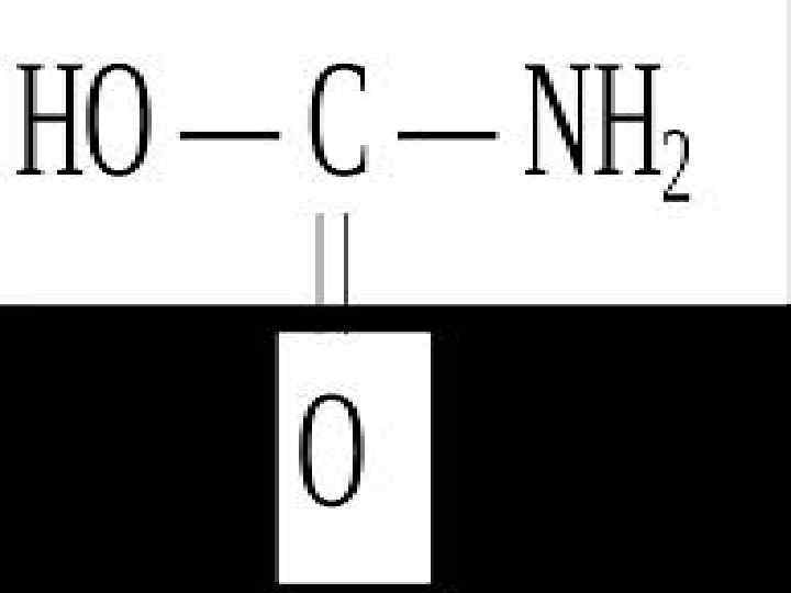 Карбамин қышқылы Көмірқышқылынан екі амид шығаруға болады: және карбамидті. карбамин қышқылын Карбамин қышқылы бос