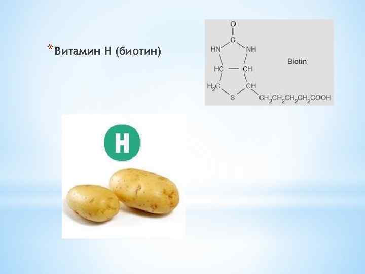 Биотин витамин н презентация