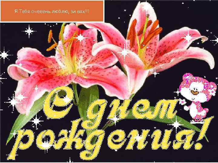 Я Тебя очееень люблю, зи вах!!! 