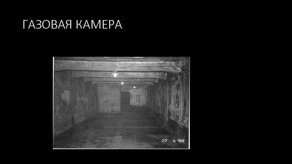 ГАЗОВАЯ КАМЕРА 