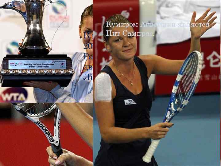 Кумиром Агнегшки является Пит Сампрас. В профессиональном туре с 2005 года. Рабочая рука-правая, форхенд