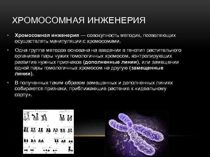 ХРОМОСОМНАЯ ИНЖЕНЕРИЯ • Хромосомная инженерия — совокупность методик, позволяющих осуществлять манипуляции с хромосомами. •