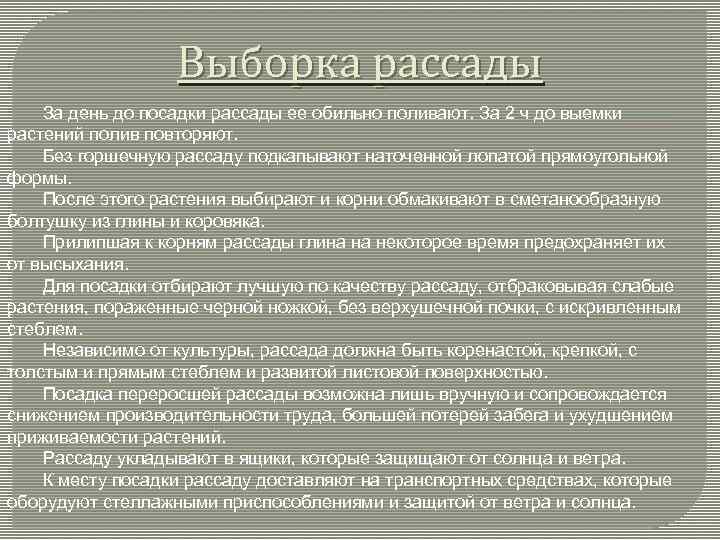 Выборка рассады За день до посадки рассады ее обильно поливают. За 2 ч до