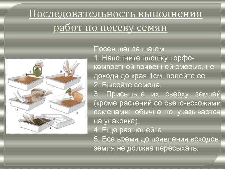 Последовательность выполнения работ по посеву семян Посев шаг за шагом 1. Наполните плошку торфо-