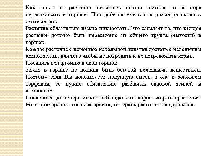 Как только на растении появилось четыре листика, то их пора пересаживать в горшок. Понадобится