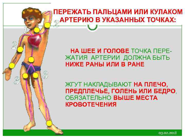 ПЕРЕЖАТЬ ПАЛЬЦАМИ ИЛИ КУЛАКОМ АРТЕРИЮ В УКАЗАННЫХ ТОЧКАХ: НА ШЕЕ И ГОЛОВЕ ТОЧКА ПЕРЕЖАТИЯ