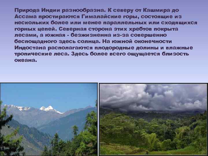 Природа Индии разнообразна. К северу от Кашмира до Ассама простираются Гималайские горы, состоящие из
