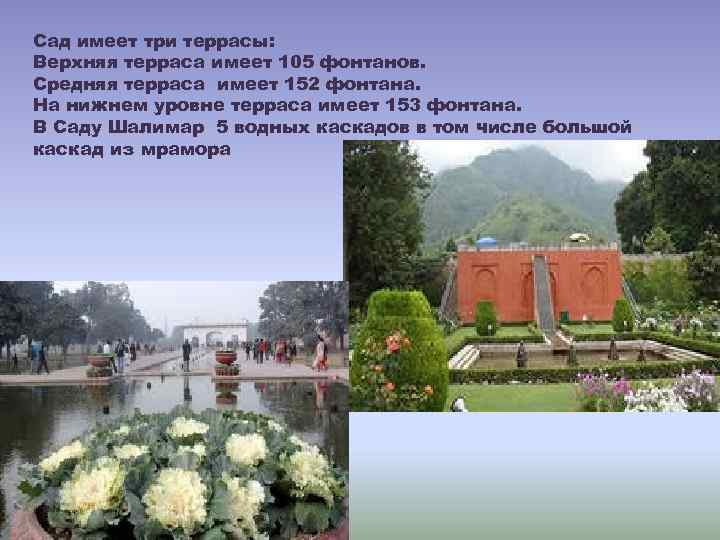 Сад имеет три террасы: Верхняя терраса имеет 105 фонтанов. Средняя терраса имеет 152 фонтана.