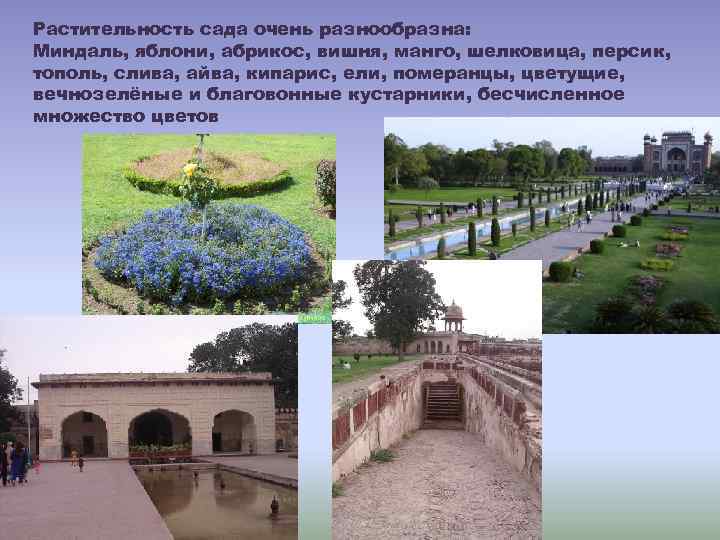 Растительность сада очень разнообразна: Миндаль, яблони, абрикос, вишня, манго, шелковица, персик, тополь, слива, айва,