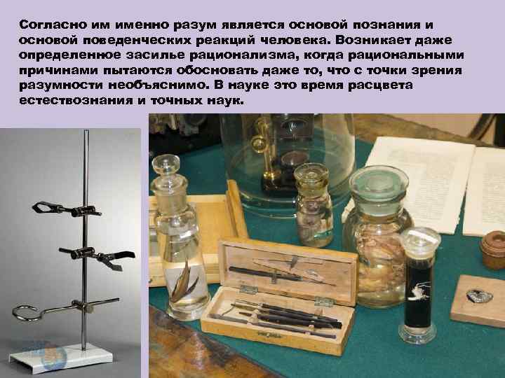 Согласно им именно разум является основой познания и основой поведенческих реакций человека. Возникает даже