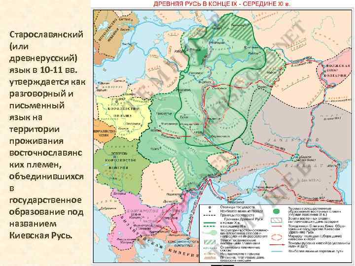 Старославянский (или древнерусский) язык в 10 -11 вв. утверждается как разговорный и письменный язык