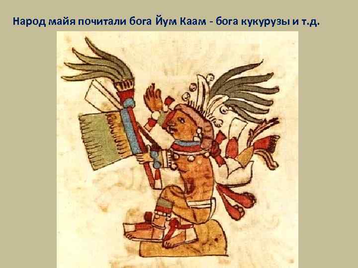 Народ майя почитали бога Йум Каам - бога кукурузы и т. д. 