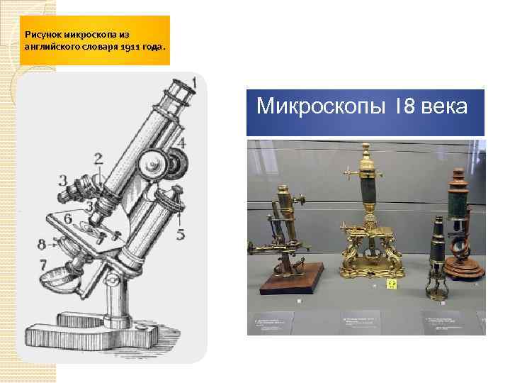 Рисунок микроскопа из английского словаря 1911 года. Микроскопы 18 века 