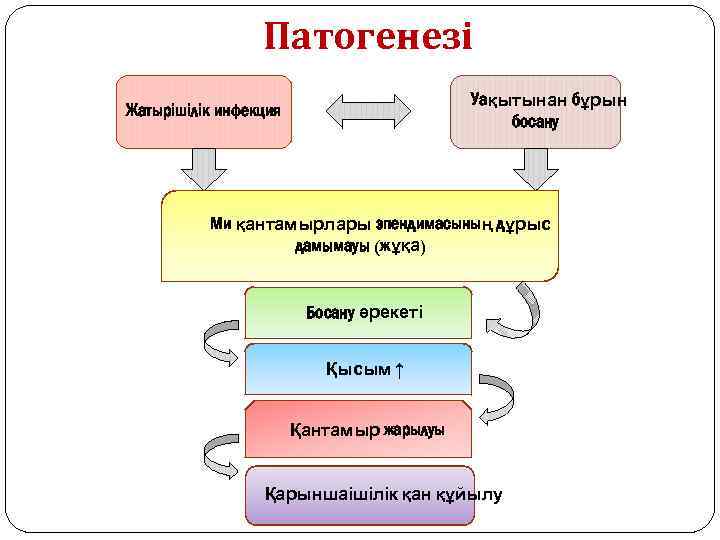 Патогенезі Уақытынан бұрын босану Жатырішілік инфекция Ми қантамырлары эпендимасының дұрыс дамымауы (жұқа) Босану әрекеті