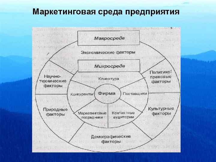 Тип внешней среды. Маркетинговая среда фирмы элементы макросреды. Внутренняя и внешняя микросреда организации. Внутренняя среда маркетинга схема. Маркетинговая среда фирмы элементы микросреды.