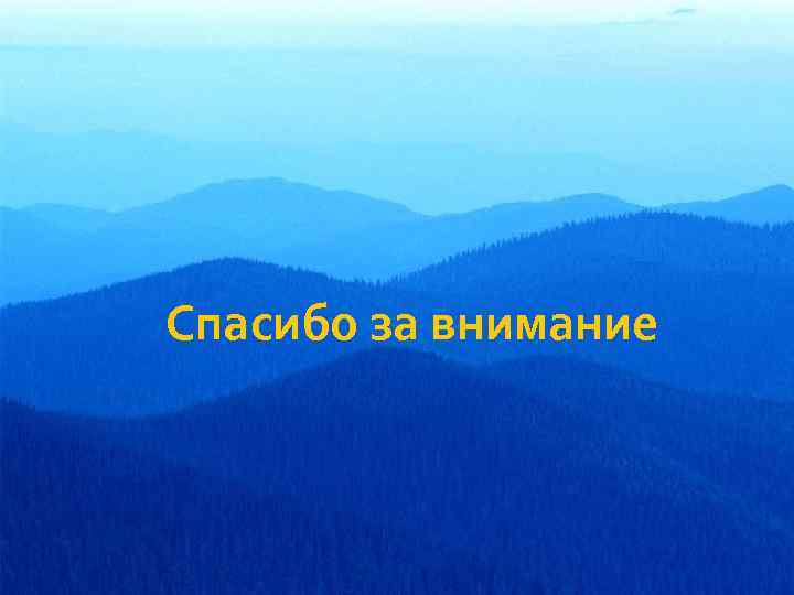 Спасибо за внимание 