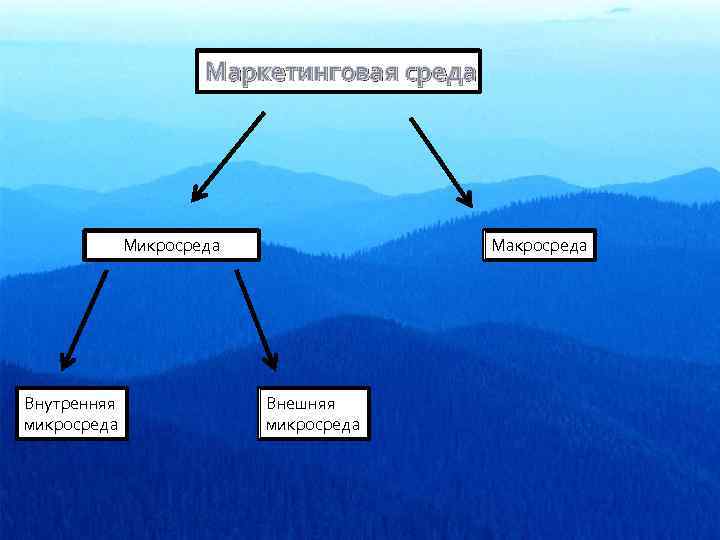 Маркетинговая среда Микросреда Внутренняя микросреда Макросреда Внешняя микросреда 
