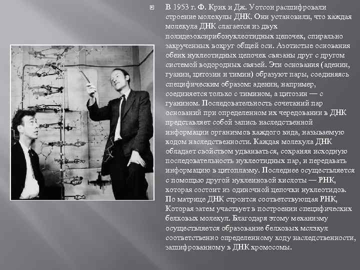 Дж крик. 1953 - Ф. крик и Дж. Уотсон. Открытие структуры ДНК Уотсоном и криком. Дж Уотсон и ф крик. Структура ДНК Уотсон и крик.