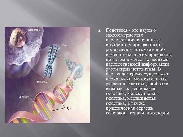 Носители наследственной информации. Классическая генетика. Роль генетики в биологии. Наследственная информация. Роль генетики в жизни человека.