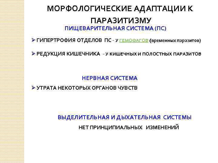 МОРФОЛОГИЧЕСКИЕ АДАПТАЦИИ К ПАРАЗИТИЗМУ ПИЩЕВАРИТЕЛЬНАЯ СИСТЕМА (ПС) Ø ГИПЕРТРОФИЯ ОТДЕЛОВ ПС - У ГЕМОФАГОВ