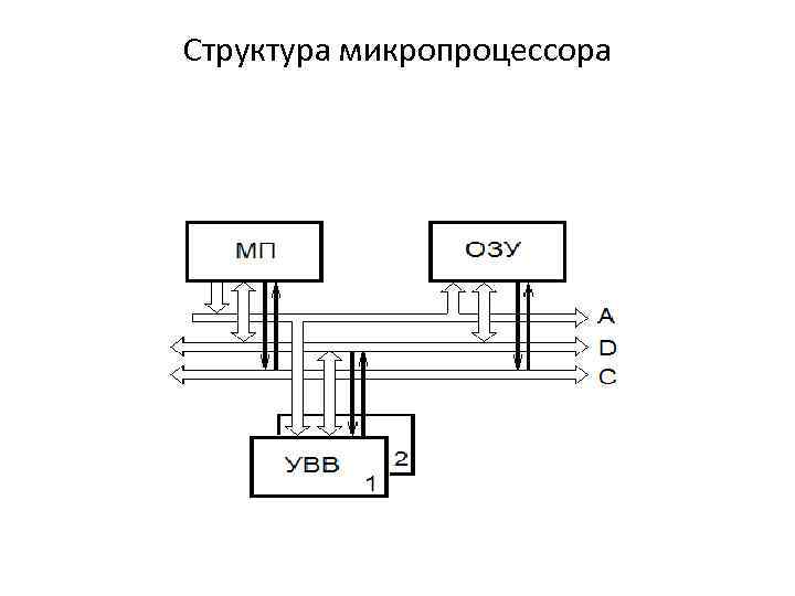 Структура микропроцессора 