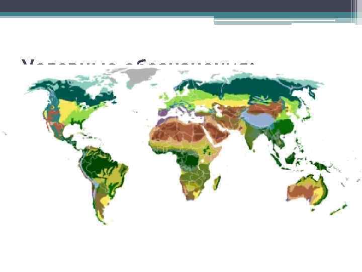 Условные обозначения: Арктическая пустыня Полупустыня Тундра Засушливая степь Тайга Полузасушливая пустыня Смешанный лес Травянистая