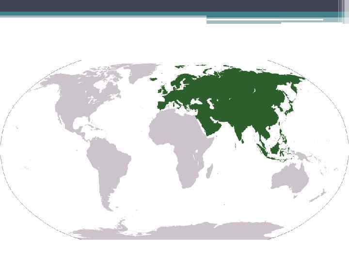  • Евразия — самый большой материк на Земле. Площадь — 53, 893 млн