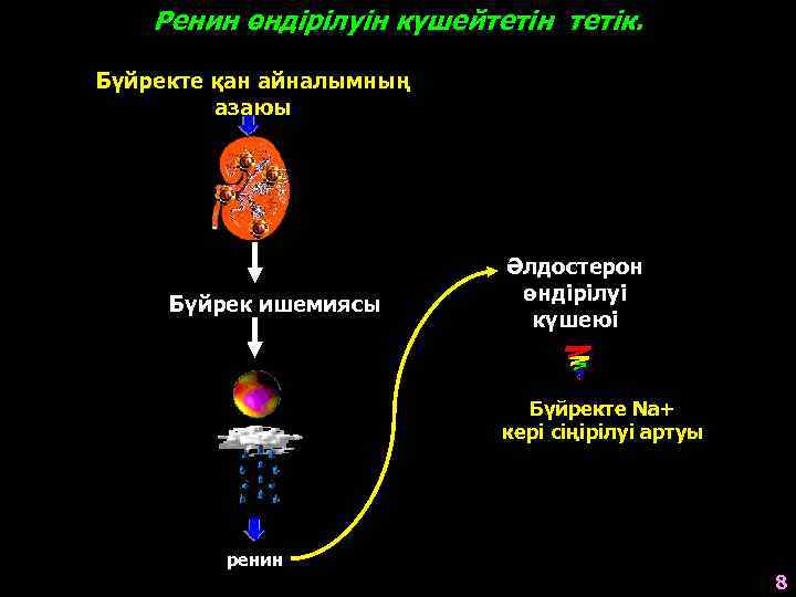 Ренин өндірілуін күшейтетін тетік. Бүйректе қан айналымның азаюы Бүйрек ишемиясы Әлдостерон өндірілуі күшеюі Бүйректе