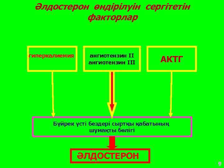 Әлдостерон өндірілуін сергітетін факторлар гиперкалиемия ангиотензин III АКТГ Бүйрек үсті бездері сыртқы қабатының шумақты