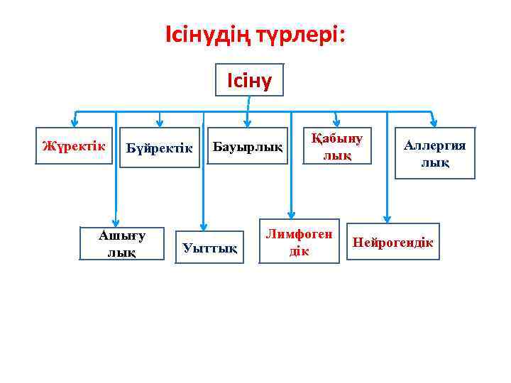 Ісінудің түрлері: Ісіну Жүректік Бүйректік Ашығу лық Бауырлық Уыттық Қабыну лық Лимфоген дік Аллергия