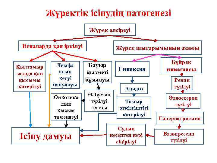 Жүректік ісінудің патогенезі Жүрек әлсіреуі Веналарда қан іркілуі Жүрек шығарымының азаюы Бауыр қызметі бұзылуы