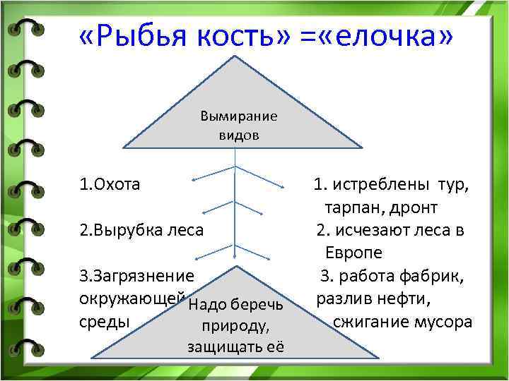  «Рыбья кость» = «елочка» Вымирание видов 1. Охота 1. истреблены тур, тарпан, дронт