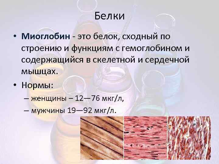 Белки • Миоглобин - это белок, сходный по строению и функциям с гемоглобином и