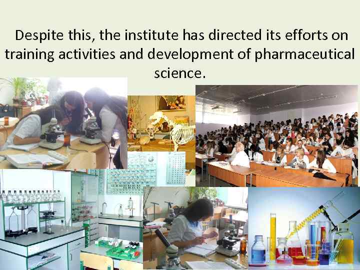 Despite this, the institute has directed its efforts on training activities and development of