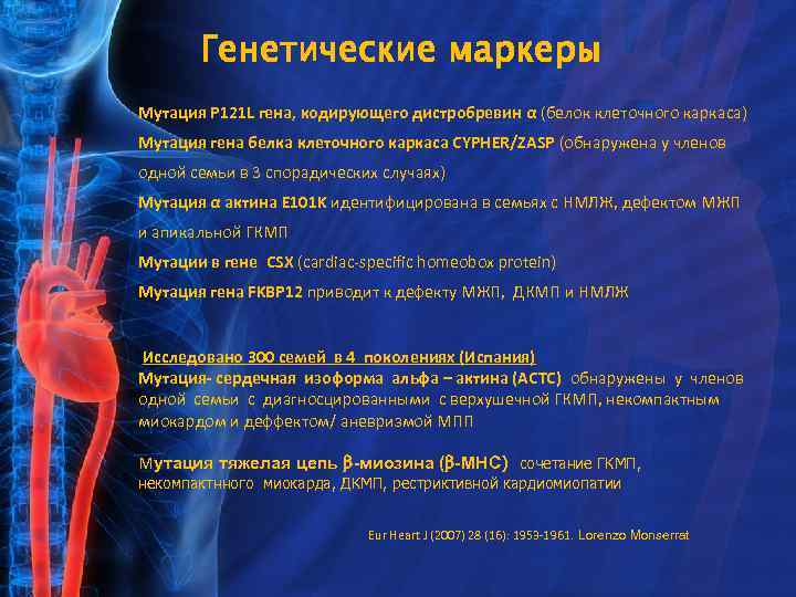 Генетические маркеры Мутация P 121 L гена, кодирующего дистробревин α (белок клеточного каркаса) Мутация