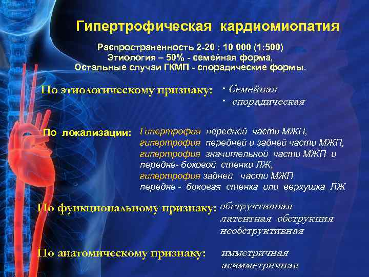 Гипертрофическая кардиомиопатия Распространенность 2 -20 : 10 000 (1: 500) Этиология – 50% -