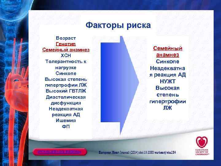 Факторы риска Возраст Генотип Семейный анамнез ХСН Толерантность к нагрузке Синкопе Высокая степень гипертрофии