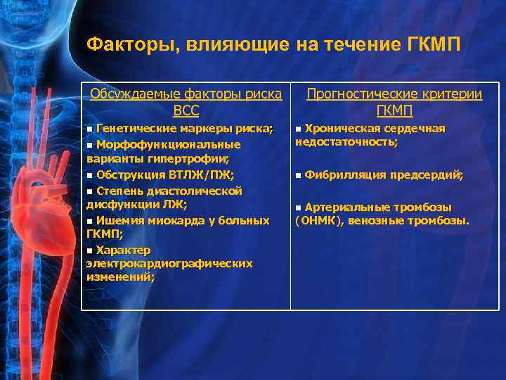 Факторы, влияющие на течение ГКМП Обсуждаемые факторы риска ВСС Генетические маркеры риска; n Морфофункциональные