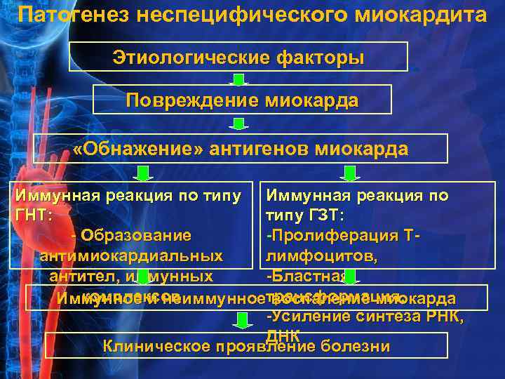Патогенез неспецифического миокардита Этиологические факторы Повреждение миокарда «Обнажение» антигенов миокарда Иммунная реакция по типу
