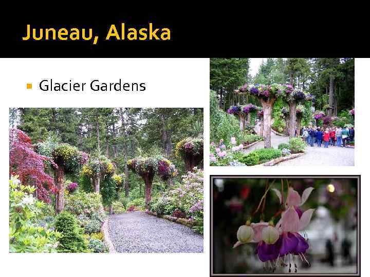 Juneau, Alaska Glacier Gardens 