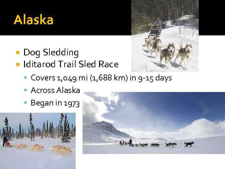 Alaska Dog Sledding Iditarod Trail Sled Race Covers 1, 049 mi (1, 688 km)