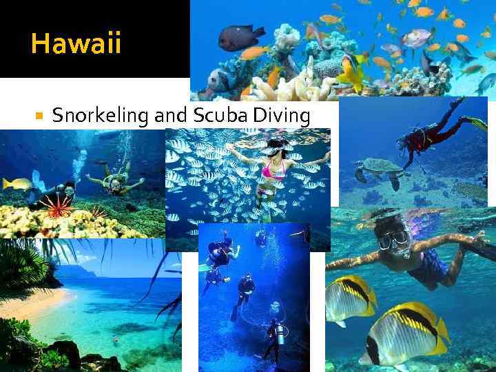 Hawaii Snorkeling and Scuba Diving 