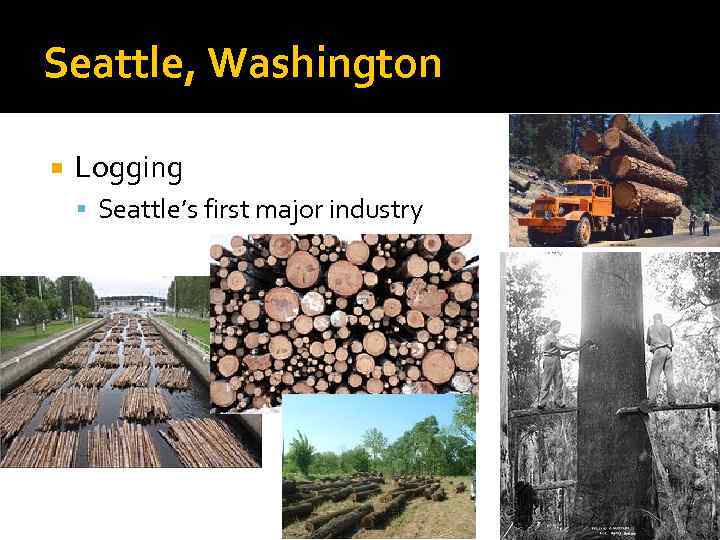 Seattle, Washington Logging Seattle’s first major industry 