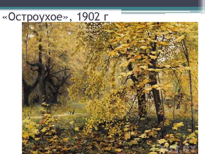  «Остроухое» , 1902 г 