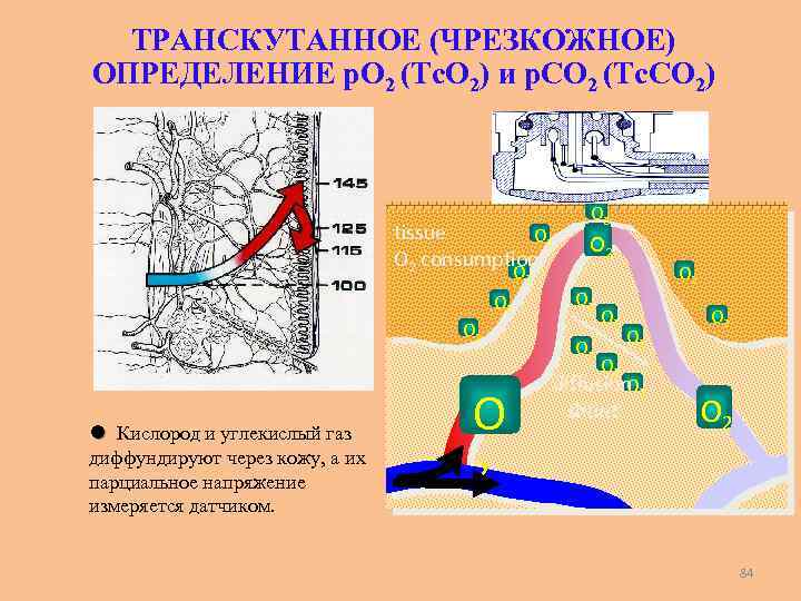 ТРАНСКУТАННОЕ (ЧРЕЗКОЖНОЕ) ОПРЕДЕЛЕНИЕ р. O 2 (Tс. О 2) и р. СО 2 (Tc.