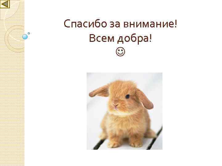 Спасибо за внимание! Всем добра! 