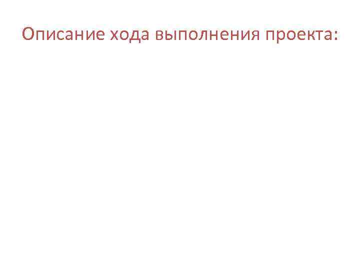 Описание хода выполнения проекта: 