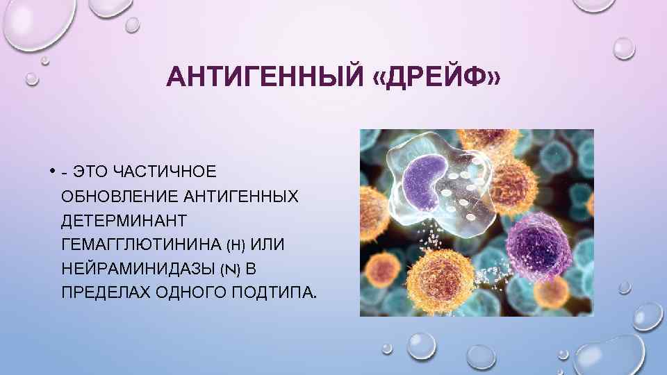 Дрейф это. Антигенный дрейф. Антигенные детерминанты. Дрейф это микробиология. Антигенный дрейф последствия.