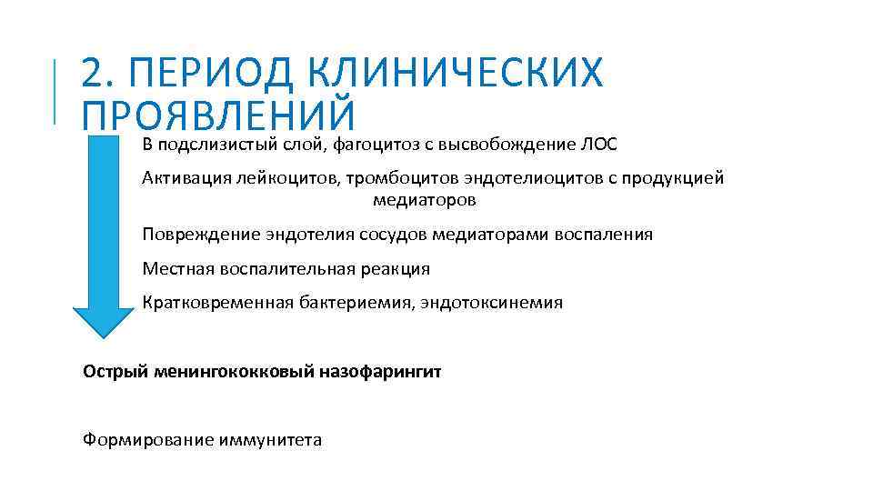 2. ПЕРИОД КЛИНИЧЕСКИХ ПРОЯВЛЕНИЙ В подслизистый слой, фагоцитоз с высвобождение ЛОС Активация лейкоцитов, тромбоцитов